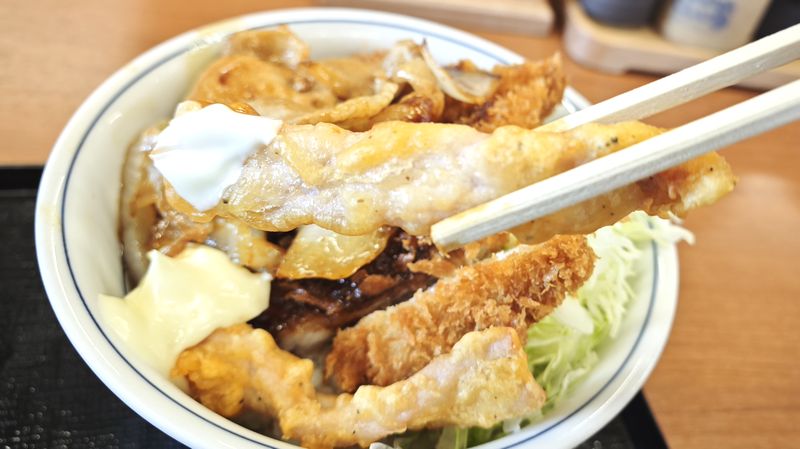 豚のから揚げ