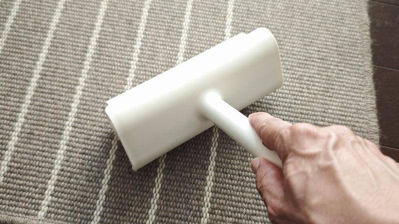 使用感はいい意味で普通