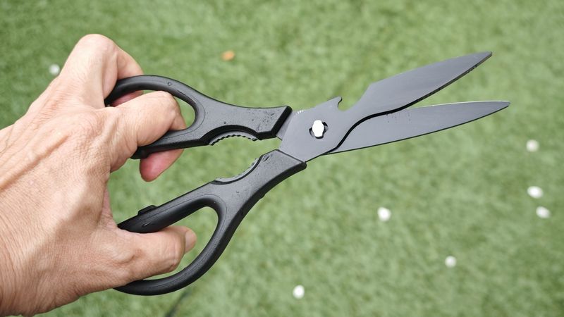 スタンダードプロダクツ「分解式キッチンハサミ」のおすすめポイント