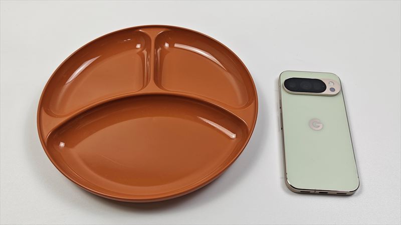 スタンダードプロダクツ「山中塗 ランチプレート」のサイズ