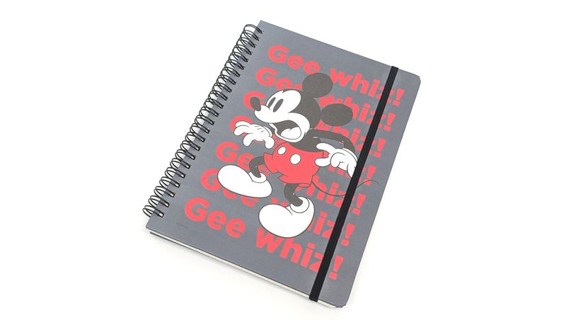 スタンダードプロダクツ「ゴムバンド付きリングノート ディズニーデザイン」の種類と価格