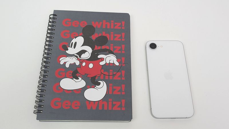 スタンダードプロダクツ「ゴムバンド付きリングノート ディズニーデザイン」のサイズ