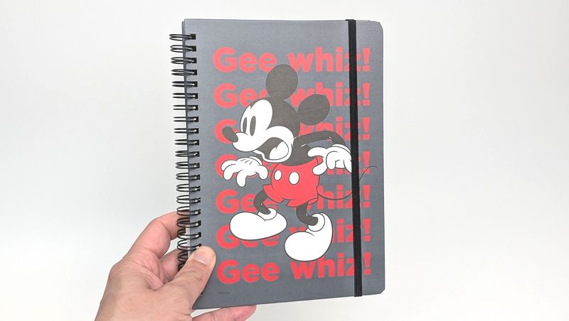 スタンダードプロダクツ「ゴムバンド付きリングノート ディズニーデザイン」の特徴と使用感