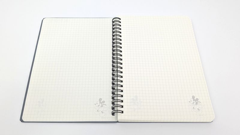 ディズニー公式デザインの付加価値が大きい