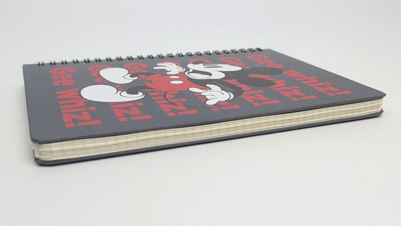 スタンダードプロダクツ「ゴムバンド付きリングノート ディズニーデザイン」のおすすめポイント