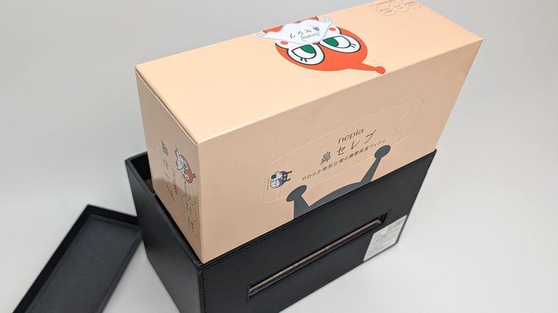 大きめサイズのBOXティッシュの場合には入れることができない